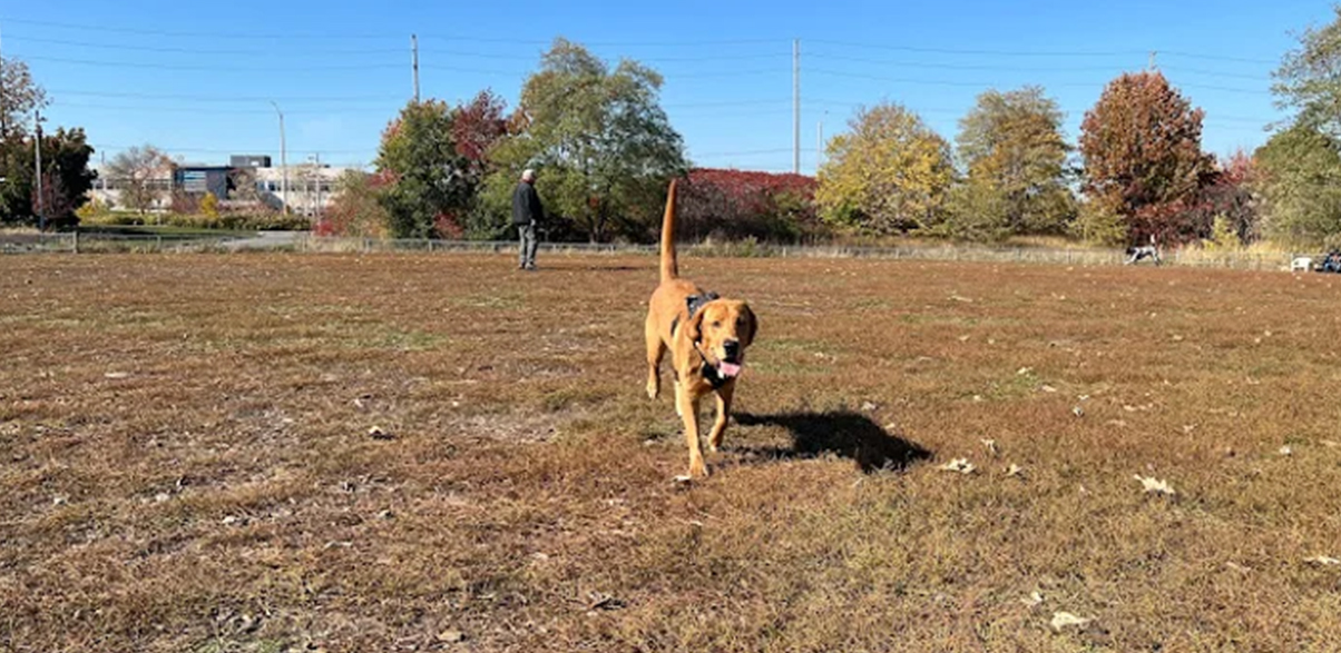 2266 Lakeshore Rd. West.