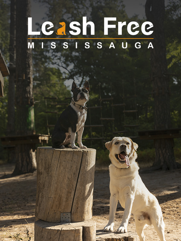 Leash Free Dog Parks in Mississauga Leash Free Dog Parks in Mississauga